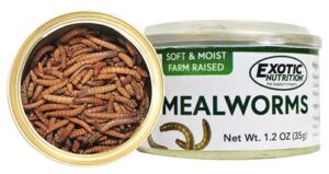 Canned Mealworms