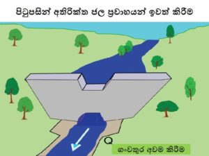 රත්නපුරේ ගං වතුර පාලනයට, වාරිමාර්ග දෙපාර්තමේන්තුවෙන් සුපිරි යෝජනාවක්