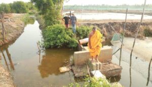 තවත් බැකෝ යන්ත්‍රයක් අත්අඩංගුවට - කඩොලාන කපා ඉස්සන් පොකුණු හදලා