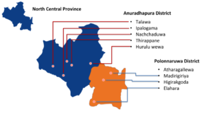 උතුරු මැද පළාතේ මන්දපෝෂණය - තිස්ස විතාරණ