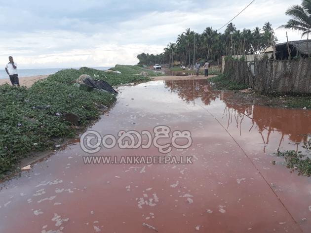 පුත්තලමේ මුතුපන්තිය දුපත