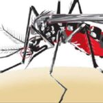 ඩෙංගු මරණ සංඛ්‍යාව 61ක් දක්වා ඉහළට