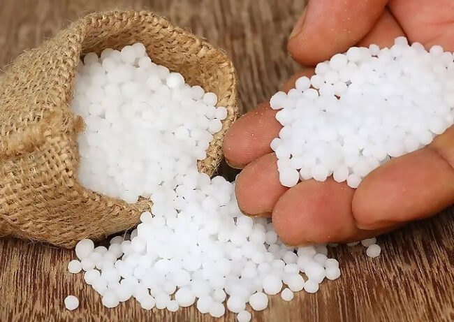 වී වගාව සඳහා පමණක් යූරියා පොහොර