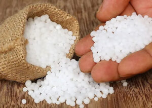 වී වගාව සඳහා පමණක් යූරියා පොහොර