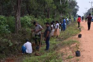 අලි මිනිස් ගැටුම අවම කිරීම සඳහා පර්යේෂණාත්මක ජීව වැටක්