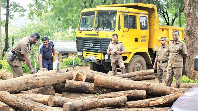 තේක්ක කඳන් 53ක් නීති විරෝධී අන්දමින් ප්‍රවාහනය කළ ලොරි රථය අත්අඩංගුවට