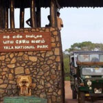 යාල ජාතික වනෝද්‍යානයේ දඩයක්කාරයන් 2ක් අත්අඩංගුවට