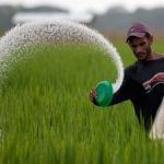 යල කන්නයට පොහොර ගොවිජන මධ්‍යස්ථාන හරහා පමණයි