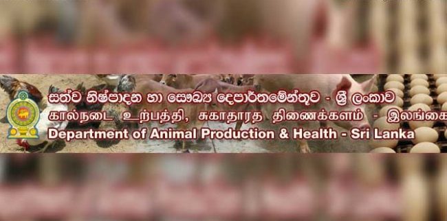 දැඩි උෂ්ණත්වය හේතුවෙන් නිදැල්ලේ හැසිරෙන සතුන්ගේ ජීවිතවලට දැඩි අවදානමක්