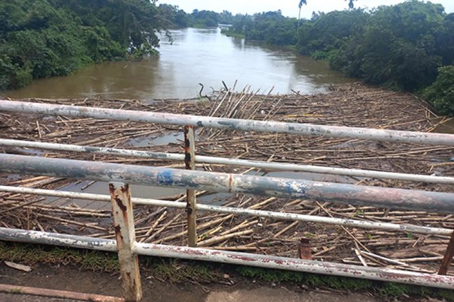 ප්‍රධාන මාර්ග පද්ධතියේ පුළුල් කළ යුතු පාලම් 263ක් - මාර්ග සංවර්ධන අධිකාරිය