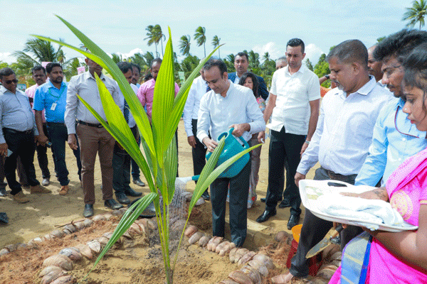 උතුරු පොල් ත්‍රිකෝණය ආරම්භ කරයි