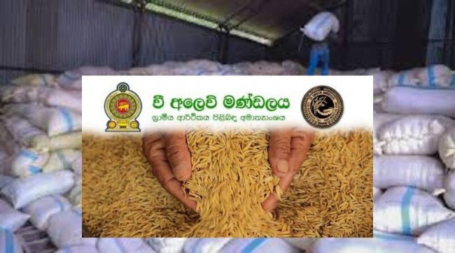 වී ගබඩා 12ක් වී මිලදී ගැනීම සඳහා විවෘතයි