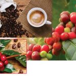 ලෝක වෙළෙඳපොළේ කෝපි මිල ශීඝ්‍රයෙන් ඉහළට