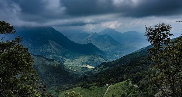 නකල්ස් අධිසංවේදී පරිසර පද්ධතියේ ආරක්ෂාව සඳහා පරිසර බලකායක්