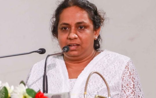 මාධ්‍ය උපමාන සමාජ මාධ්‍ය සඳහාද අදාළයි