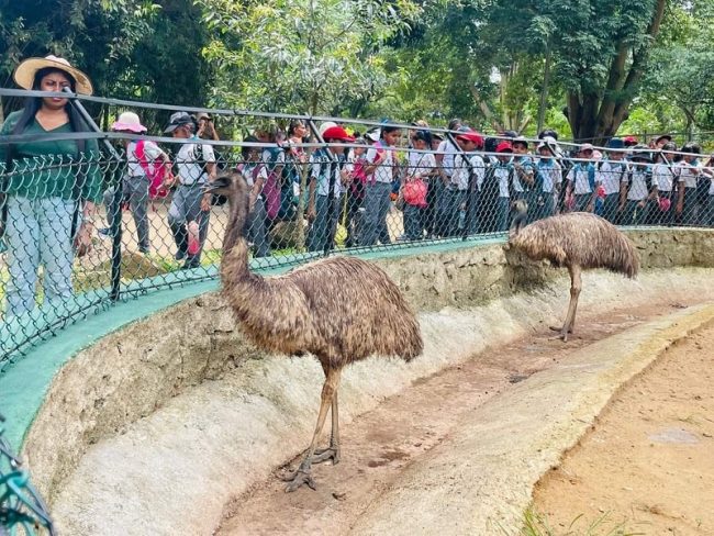 ලෝක ළමා දිනයදා අවූරදු 12න් පහල සියලු ළමුන්ට විශේෂ තැග්ගක්