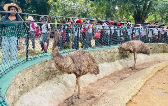 ලෝක ළමා දිනයදා අවූරදු 12න් පහල සියලු ළමුන්ට විශේෂ තැග්ගක්