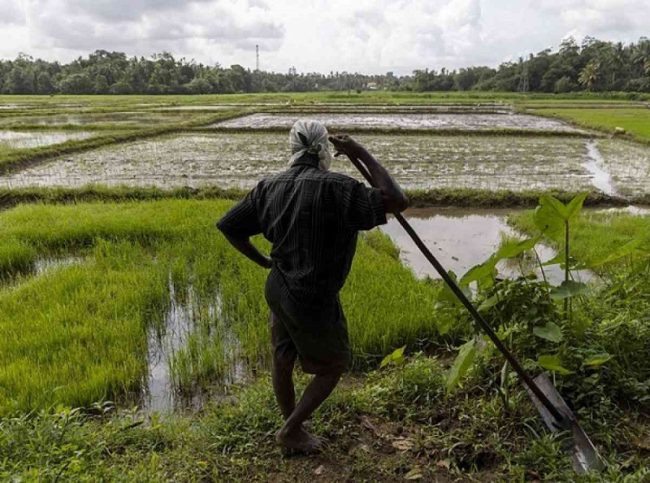 ව්‍යාපෘති 1,000ක් සඳහා ගොවි සංවිධාන 1,000ක් වෙත රුපියල් මිලියන 1,000ක්
