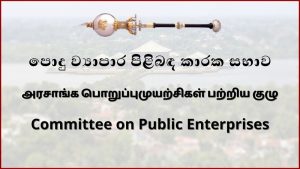 තවත් මිලියන 700ක වංචාවක් කෝප් කමිටුවේදී අනාවරණය වෙයි