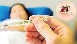 චිකන් ගුන්යා, ඩෙංගු සහ ඉන්ෆ්ලුවෙන්සා රෝගීන් වාර්තාවීම සීඝ්‍රයෙන් ඉහළට