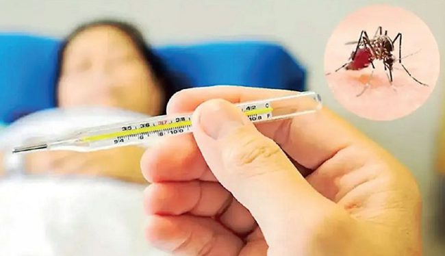 චිකන් ගුන්යා, ඩෙංගු සහ ඉන්ෆ්ලුවෙන්සා රෝගීන් වාර්තාවීම සීඝ්රයෙන් ඉහළට