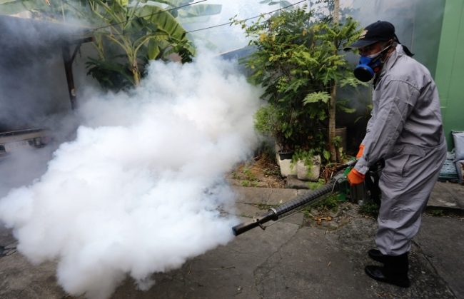 ඩෙංගු මර්දන සහයකයින් 671කට ස්ථීර පත්වීම් ලබා දීමට සැලසුම්