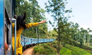 දින 21කදී විදෙස් සංචාරකයින් 90,000ක්