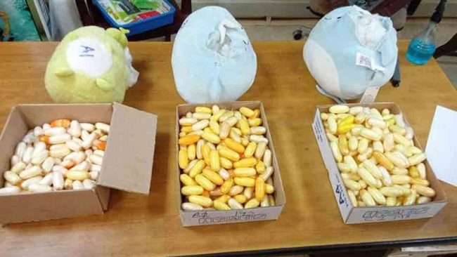"ටෙඩි බෙයාර්" බෝනික්කන් ඇතුළේ කටුනායකට පැමිණි කොකේන් මත්ද්‍රව්‍ය