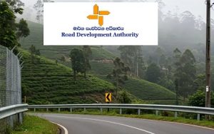 මධ්‍ය කඳුකරයේ අනතුරු බහුල ස්ථානවල ආරක්ෂිත වැට ඉදිකිරීමට පියවර