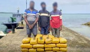 රු.මි 47ක කේරල ගංජා තොගයක් සමඟ පුද්ගලයින් තිදෙනෙක් අත්අඩංගුවට