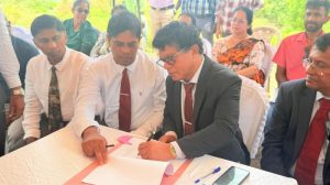 කඩොලාන වනාන්තර 08ක් (26)දින සිට රක්ෂිත වෙයි