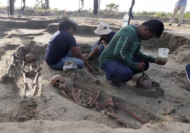 උතුරේ චෙම්මනි සමූහ සුසානය : මිනිස් ඇටසැකිලි 56ක් ගොඩගනියි