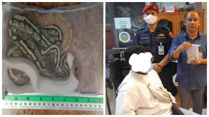 පිඹුරන් 3කු යට ඇඳුම තුළ සඟවාගෙන සිටි ලාංකිකයෙක් බැංකොක් ගුවන් තොටුපළේදී අත්අඩංගුවට