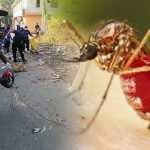 මදුරුවන් බෝවන ස්ථාන පරීක්ෂා කිරීම් කටයුතු සොයා බැලීමේ බලය මහජන සෞඛ්‍ය පරීක්ෂකවරුන්ට