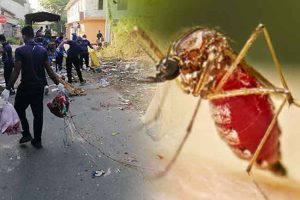 මදුරුවන් බෝවන ස්ථාන පවත්වාගෙන ගිය 403කට නඩු