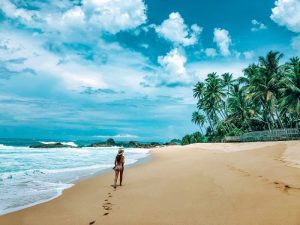 අගෝස්තුවේ සංචාරකයන්ට එන්න හොඳම තැනක් ලංකාවේ ඊසානදිග වෙරළ තීරය – LONELY PLANET