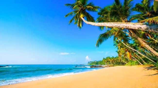 Clean Sri Lanka යටතේ උතුරේ වෙරළබඩ විවේක උද්‍යාන සංවර්ධනයට