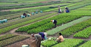 කෘෂි ව්‍යව­සා­ය­ක­යන් දිරි­මත් කරන්න ලක්ෂ 50ක සහන ණයක්