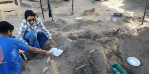 චෙම්මනි මිනීවළේ කැණීම් යළිත් – අස්ථි කොටස් 150ක් දැනට හමුවෙලා