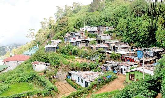 වතු ආශ්‍රිතව පාසල්වල ගුරු නිවාස 14 ක් ඉදිකිරීමට කැබිනට් අනුමැතිය