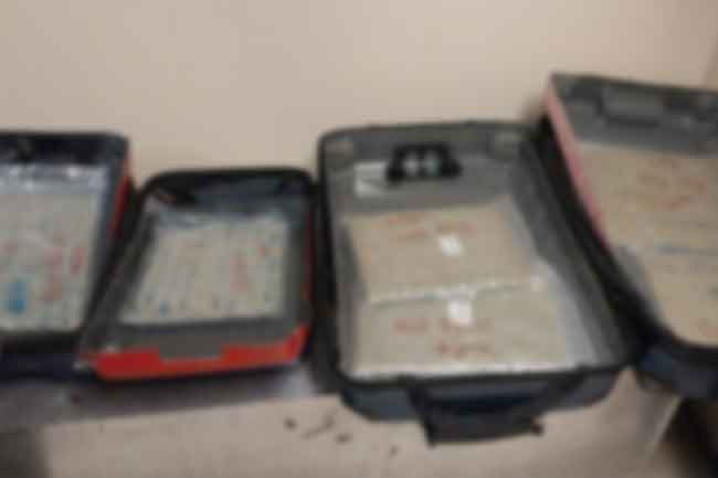 රුපියල් මිලියන 200 ඉක්මවූ කුෂ් තොගයක් සමග 4ක් කටුනායකදී කොටුවෙයි