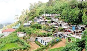 වතු ආශ්‍රිතව පාසල්වල ගුරු නිවාස 14 ක් ඉදිකිරීමට කැබිනට් අනුමැතිය