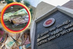 හානි වූ මුදල් නෝට්ටු පරිහරණයට මහ බැංකුවෙන් මාර්ගෝපදේශ