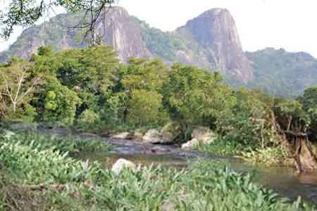 නිල්ගල වනාන්තරය රක්ෂිතයක් බව ගැසට් කෙරේ