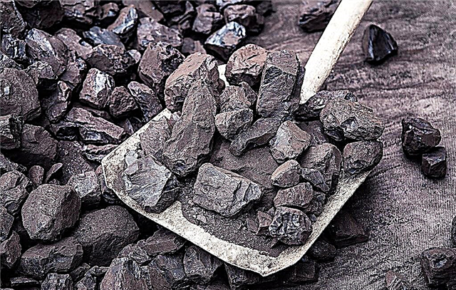 ගල් අගුරු නිසා ලැබුණු ඩො.මි 2.1ක දඩය