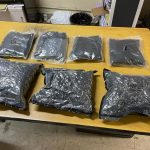 කුෂ් මත්ද්‍රව්‍ය තොගයක් සමග ගුවන් මගියෙක් අත්අඩංගුවට