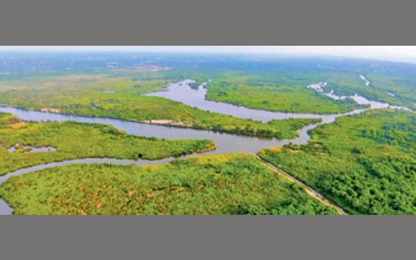 කාදිනල් හිමිගෙන් රජයට ඉල්ලීමක්