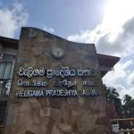 වැලිගම සභාපති ධූරය ජාතික ජනබලවේගයට