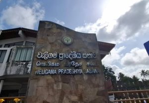 වැලිගම සභාපති ධූරය ජාතික ජනබලවේගයට