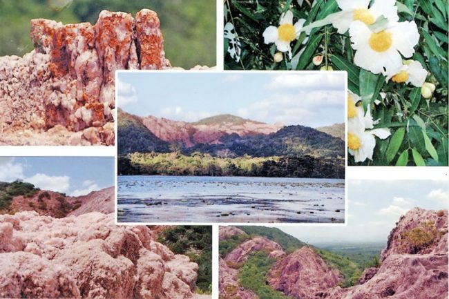 ‘ජාතික නාමල් උයන’ ජාතික උරුමයක් ලෙස ප්‍රකාශයට